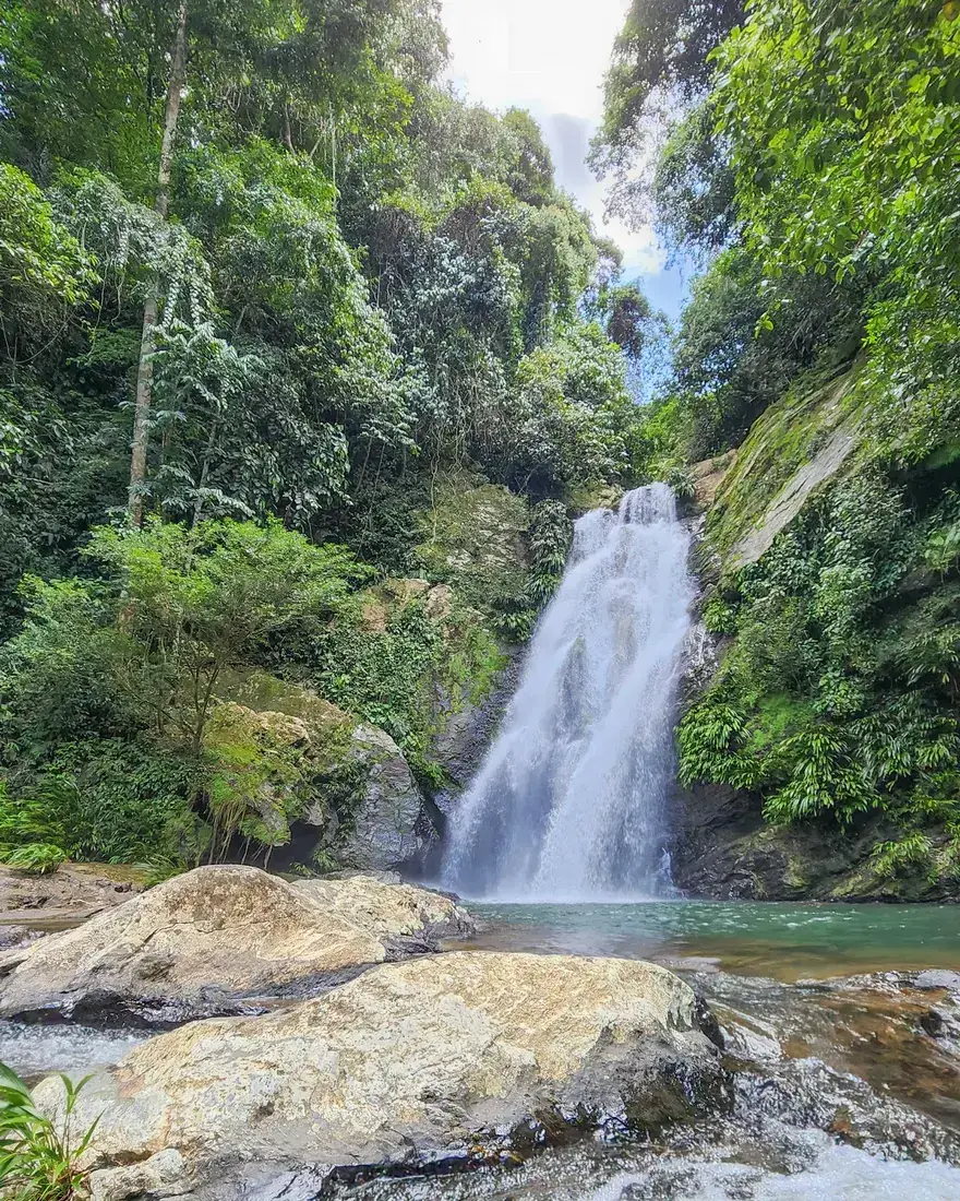 Tour cascadas La Danta
