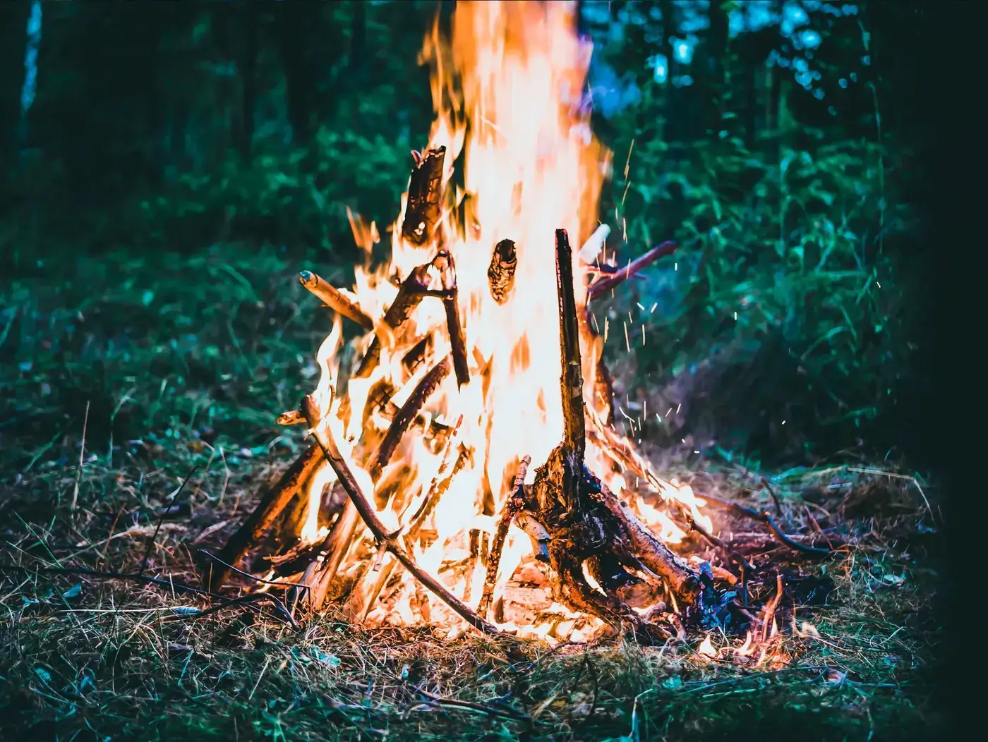 The bonfire