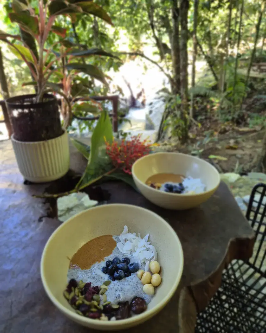 Desayuno con yogur y frutas frente al bosque