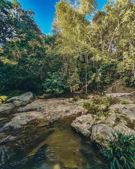 The river