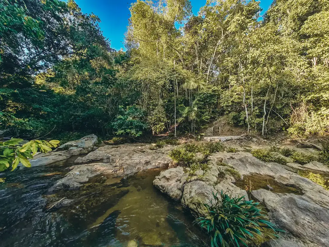 River and forest on the land the EntreAguas family protects